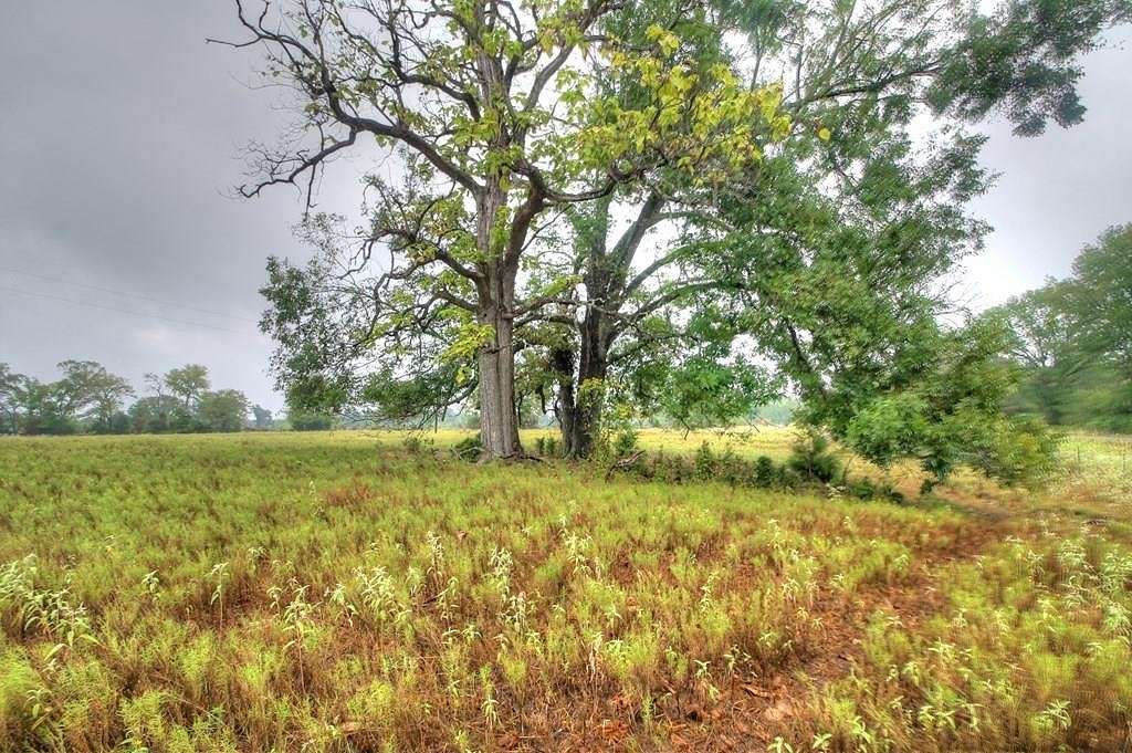 60.49 Acres of Agricultural Land for Sale in Alto, Texas