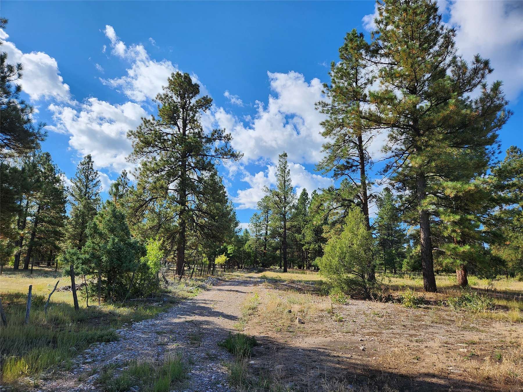 10.7 Acres of Land for Sale in Chama, New Mexico