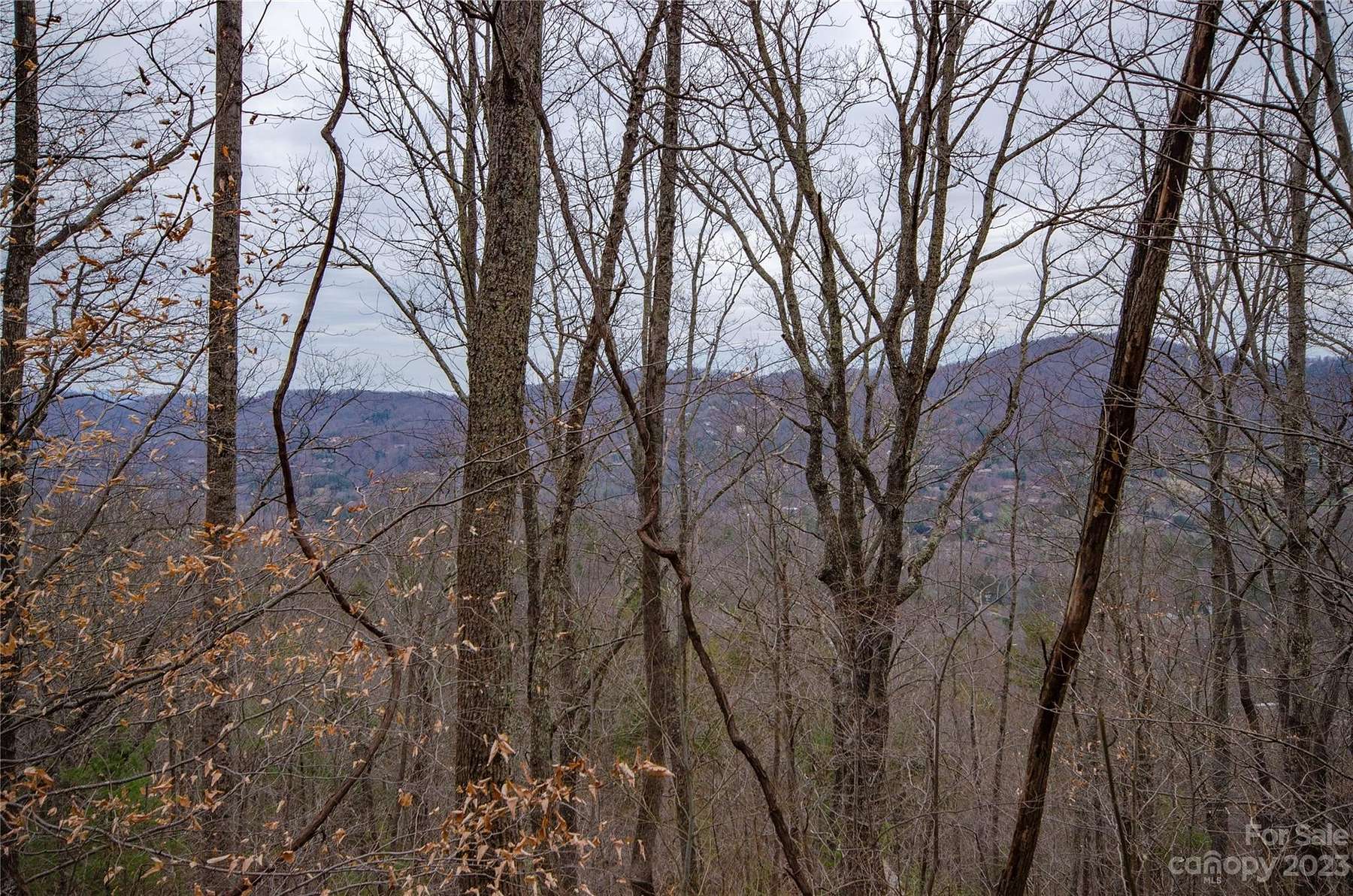 3.2 Acres of Residential Land for Sale in Asheville, North Carolina
