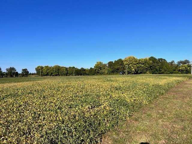22.9 Acres of Land for Sale in Pendleton, Indiana