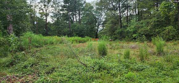 0.2 Acres of Land for Sale in Columbia, South Carolina