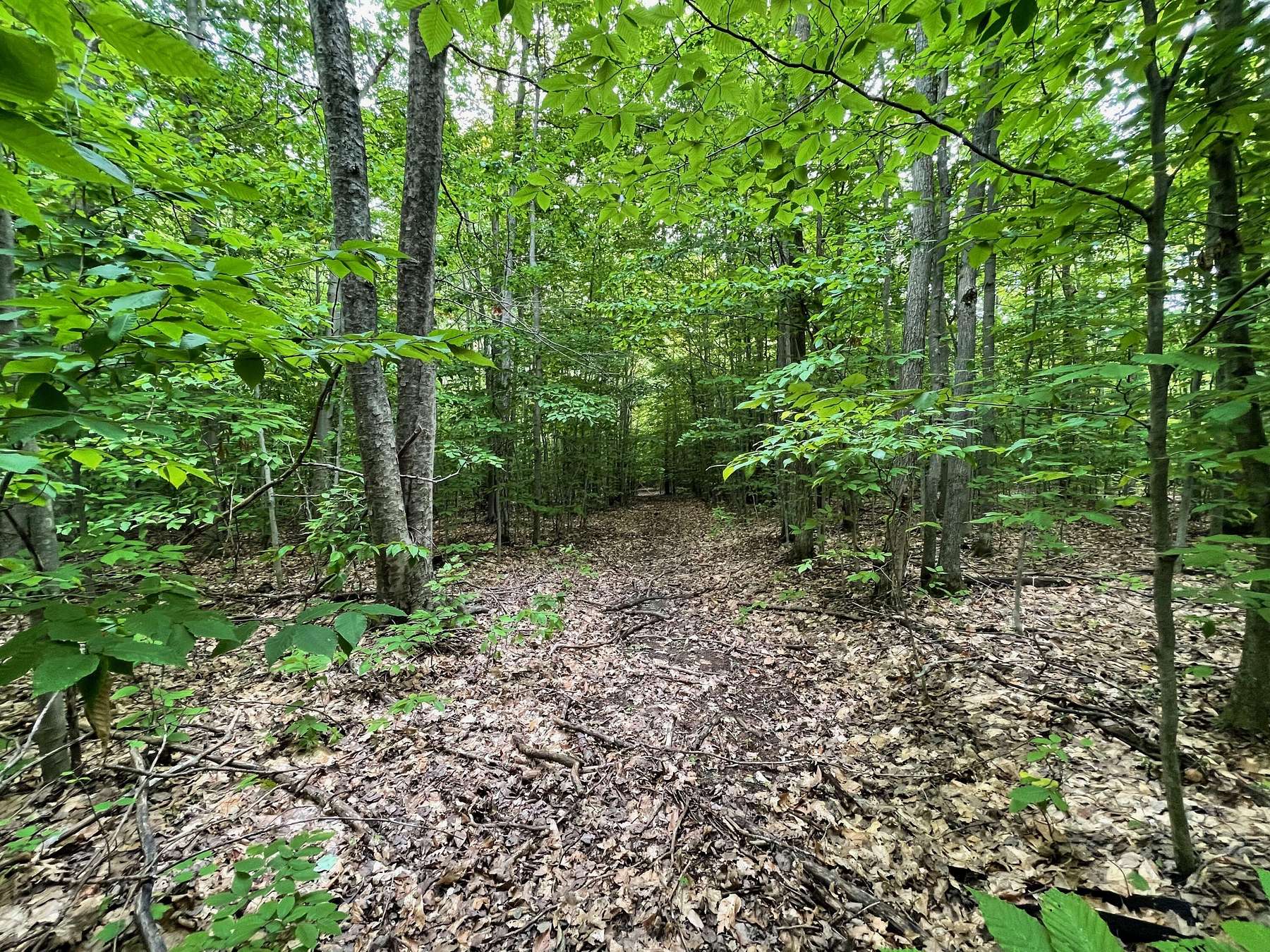 50 Acres of Recreational Land for Sale in Gaylord, Michigan