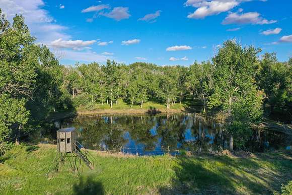 710 Acres of Recreational Land & Farm for Sale in Agate, Colorado