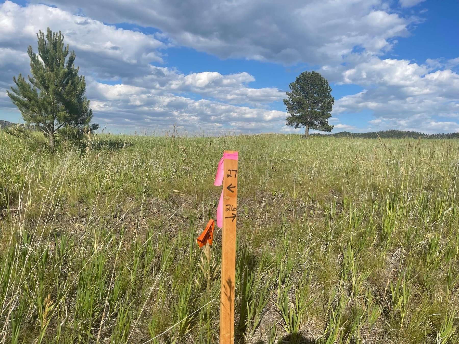 0.45 Acres of Residential Land for Sale in Custer, South Dakota