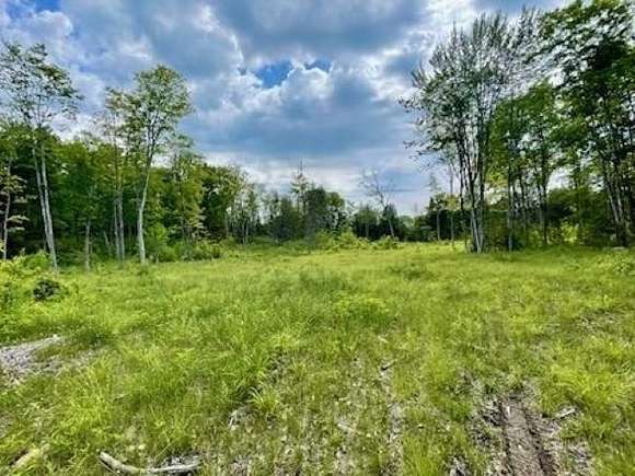 8.81 Acres of Residential Land for Sale in Sutton, Vermont