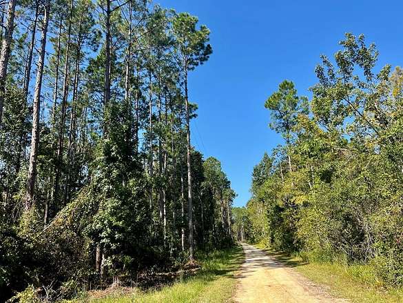 18 Acres of Land for Sale in Steinhatchee, Florida