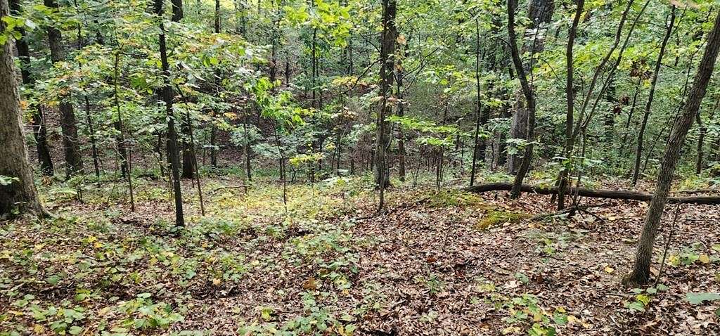 0.39 Acres of Residential Land for Sale in Camden, Tennessee