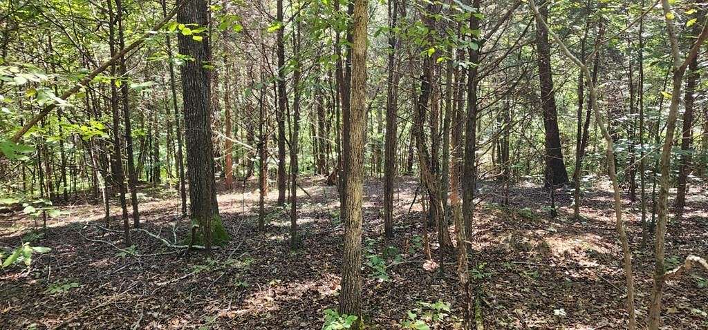 0.4 Acres of Residential Land for Sale in Big Sandy, Tennessee