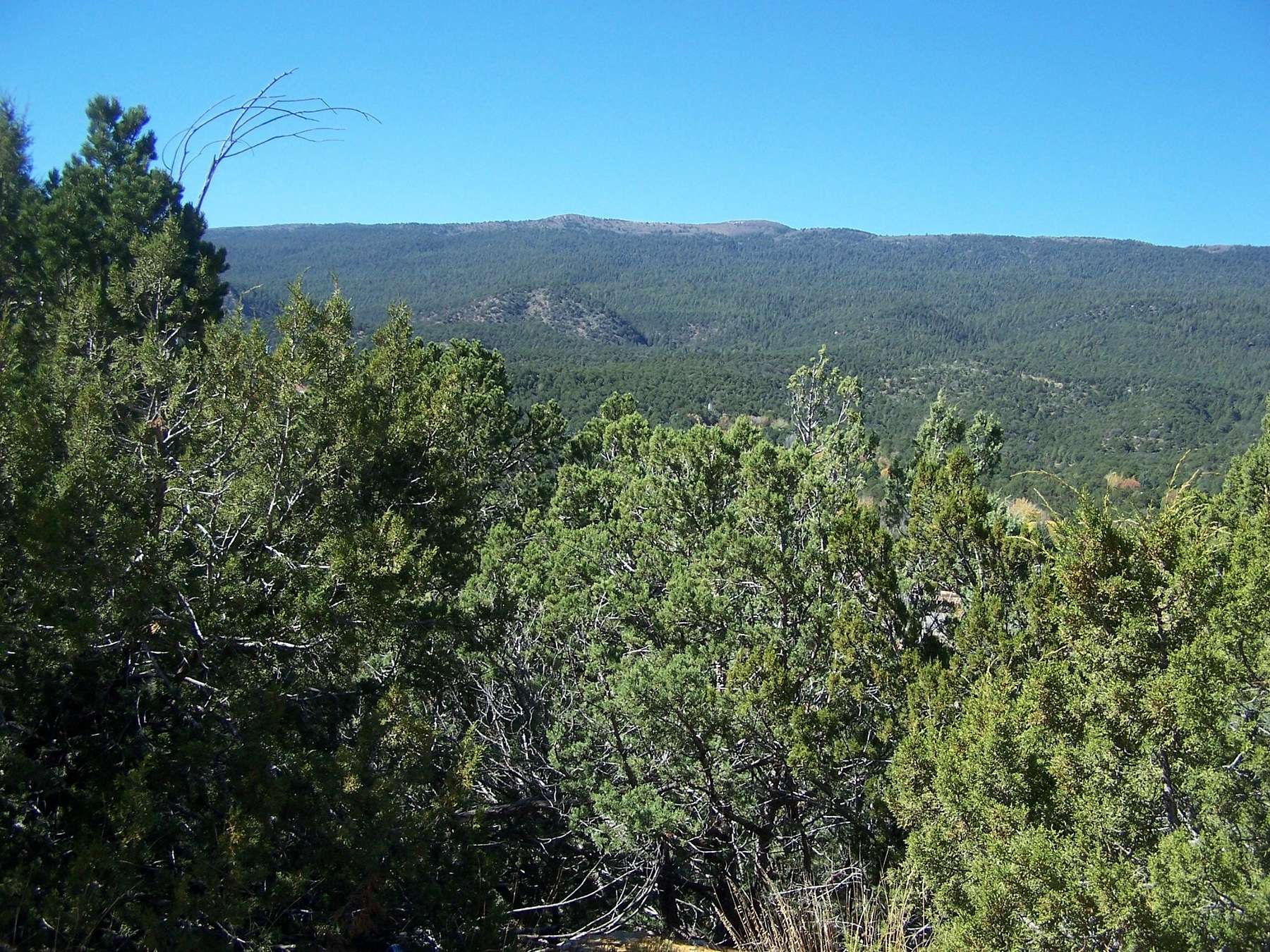 6.8 Acres of Residential Land for Sale in Cedar Crest, New Mexico