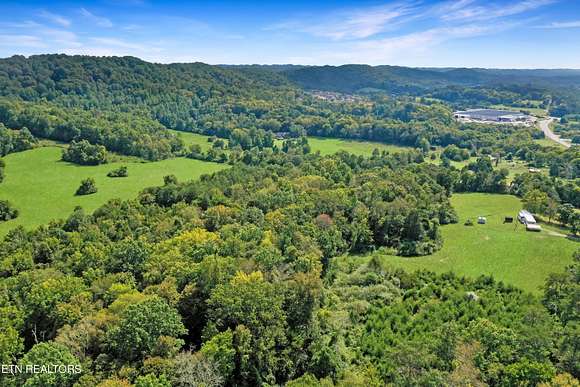 67.54 Acres of Land for Sale in Andersonville, Tennessee - LandSearch