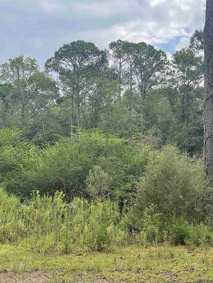 21 Acres of Land for Sale in Andalusia, Alabama