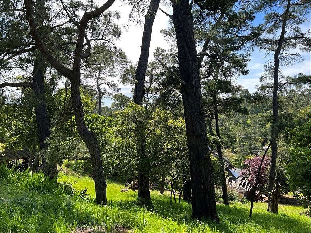 0.08 Acres of Land for Sale in Cambria, California