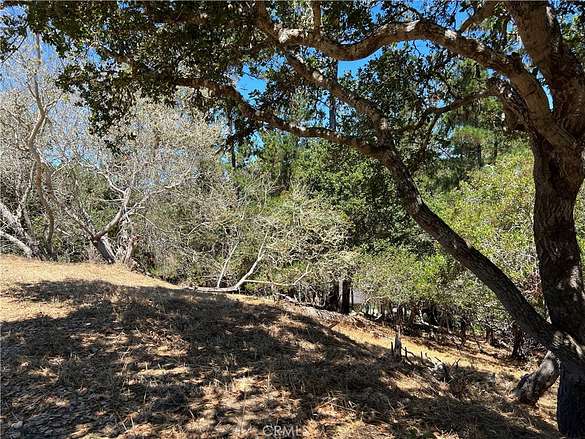 0.315 Acres of Residential Land for Sale in Cambria, California