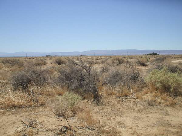 2.52 Acres of Residential Land for Sale in Del Sur, California