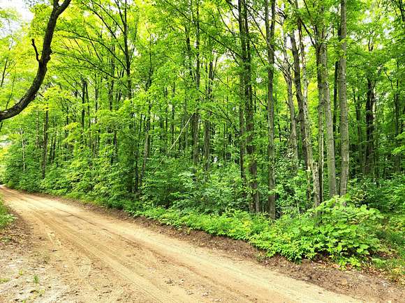10 Acres of Recreational Land for Sale in Pellston, Michigan