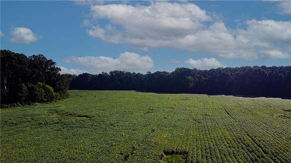 50 Acres of Agricultural Land for Sale in Sugar Valley, Georgia