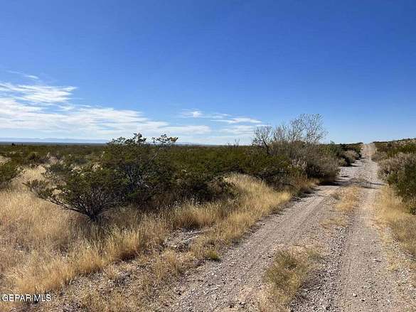 20.2 Acres of Land for Sale in Fort Hancock, Texas