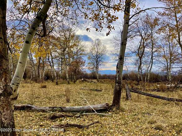 40.4 Acres of Land for Sale in Driggs, Idaho