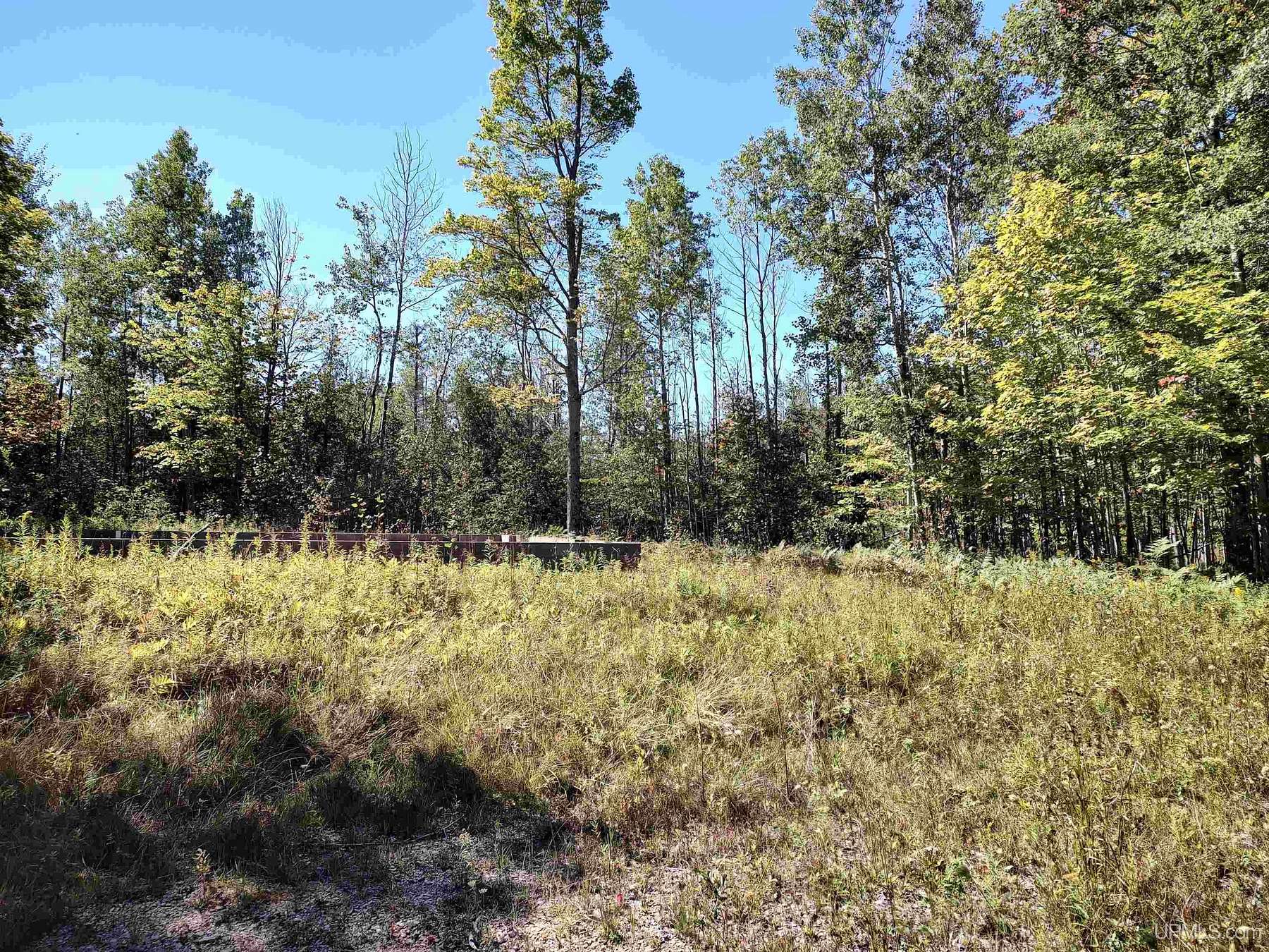10.6 Acres of Land for Sale in Gulliver, Michigan