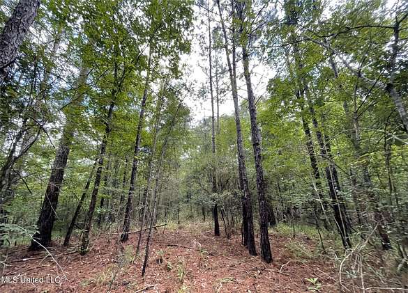 12 Acres of Recreational Land for Sale in Utica, Mississippi