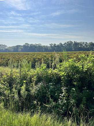 9.5 Acres of Land for Sale in Scotland Neck, North Carolina