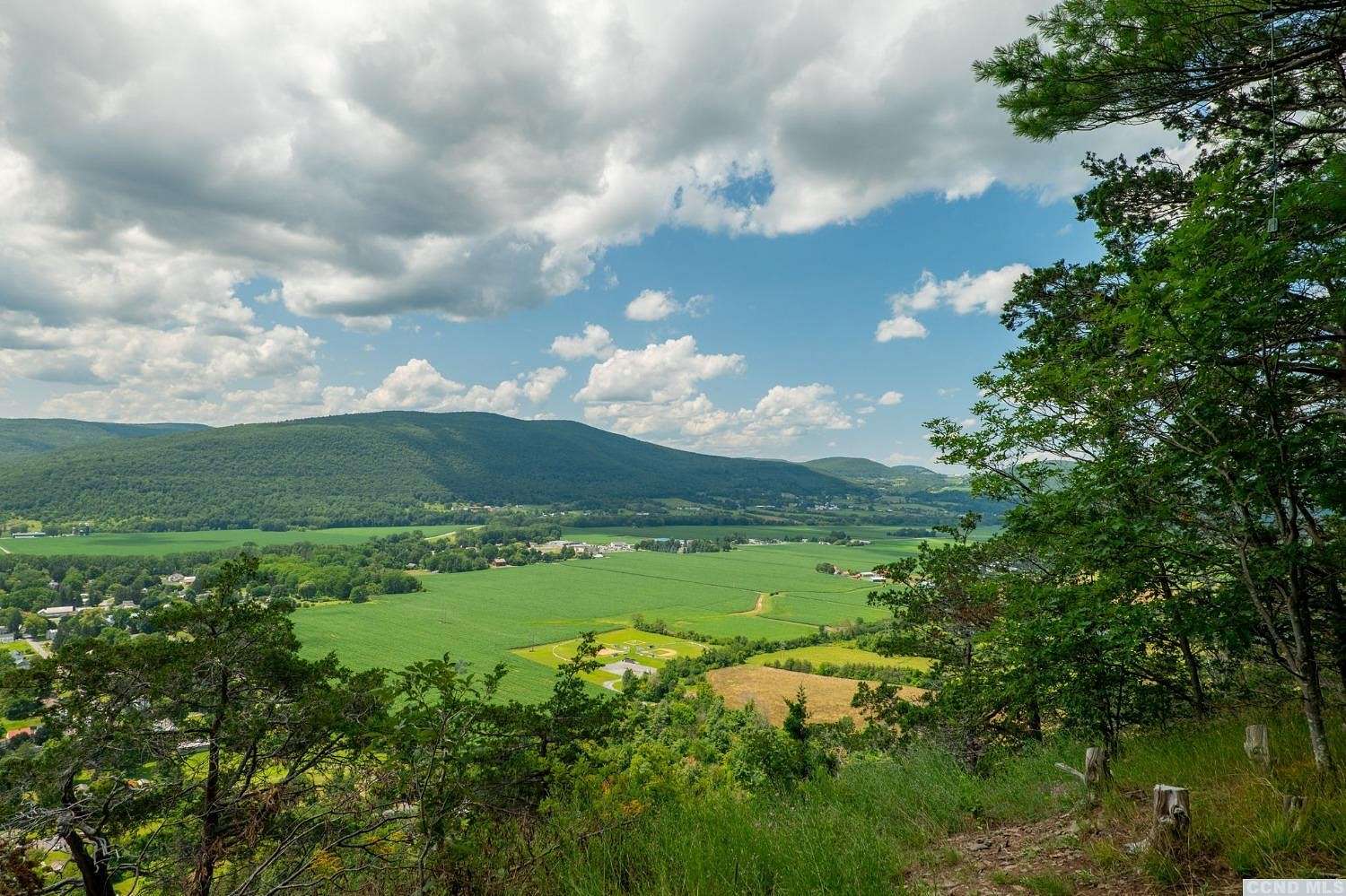 124 Acres of Land for Sale in Middleburgh, New York