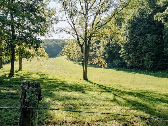 74.5 Acres of Land for Sale in Buchanan, Virginia