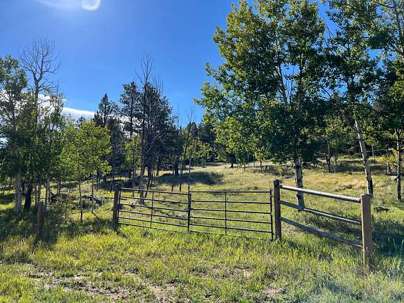 10 Acres of Recreational Land for Sale in Florissant, Colorado