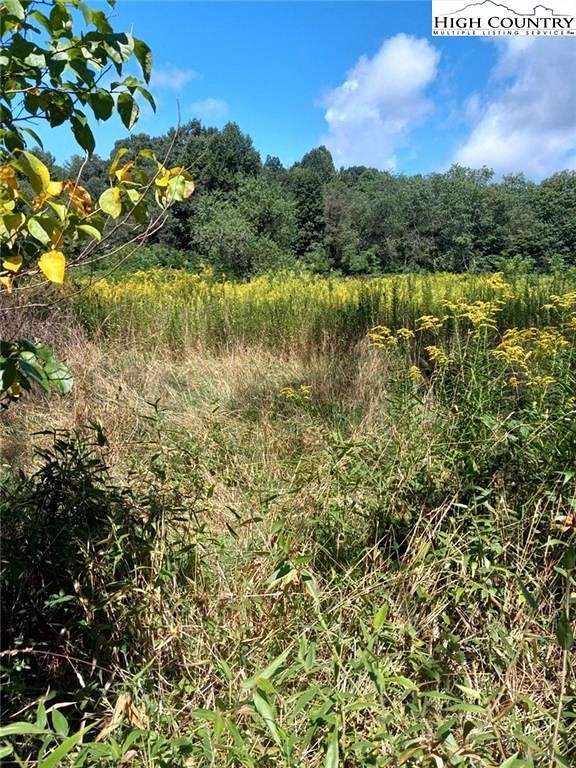 11.9 Acres of Land for Sale in Crumpler, North Carolina
