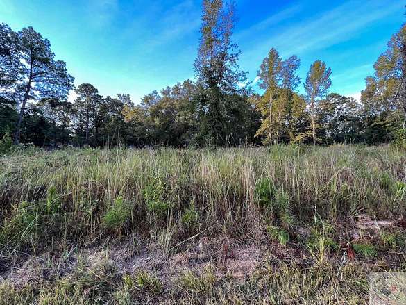 1.1 Acres of Residential Land for Sale in Redwater, Texas