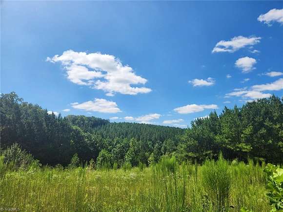 122 Acres of Land for Sale in Dobson, North Carolina
