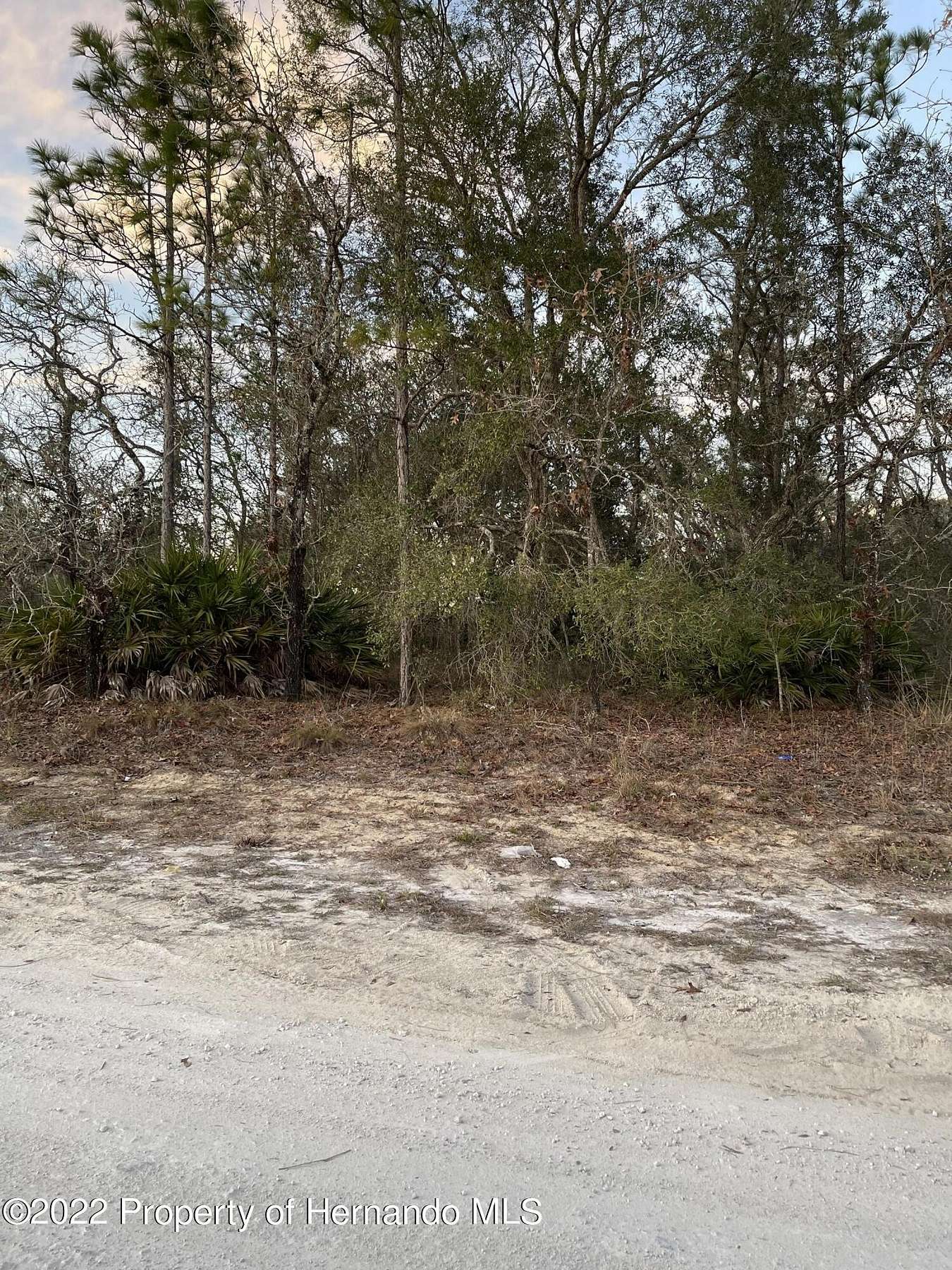 0.55 Acres of Residential Land for Sale in Weeki Wachee, Florida