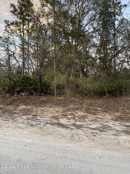 0.55 Acres of Residential Land for Sale in Weeki Wachee, Florida