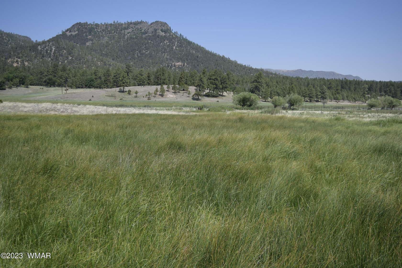 5 Acres of Residential Land for Sale in Nutrioso, Arizona