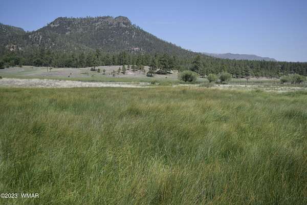 5 Acres of Residential Land for Sale in Nutrioso, Arizona