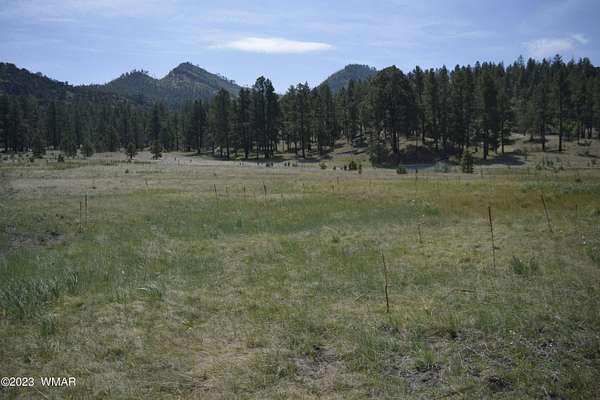 5 Acres of Residential Land for Sale in Nutrioso, Arizona