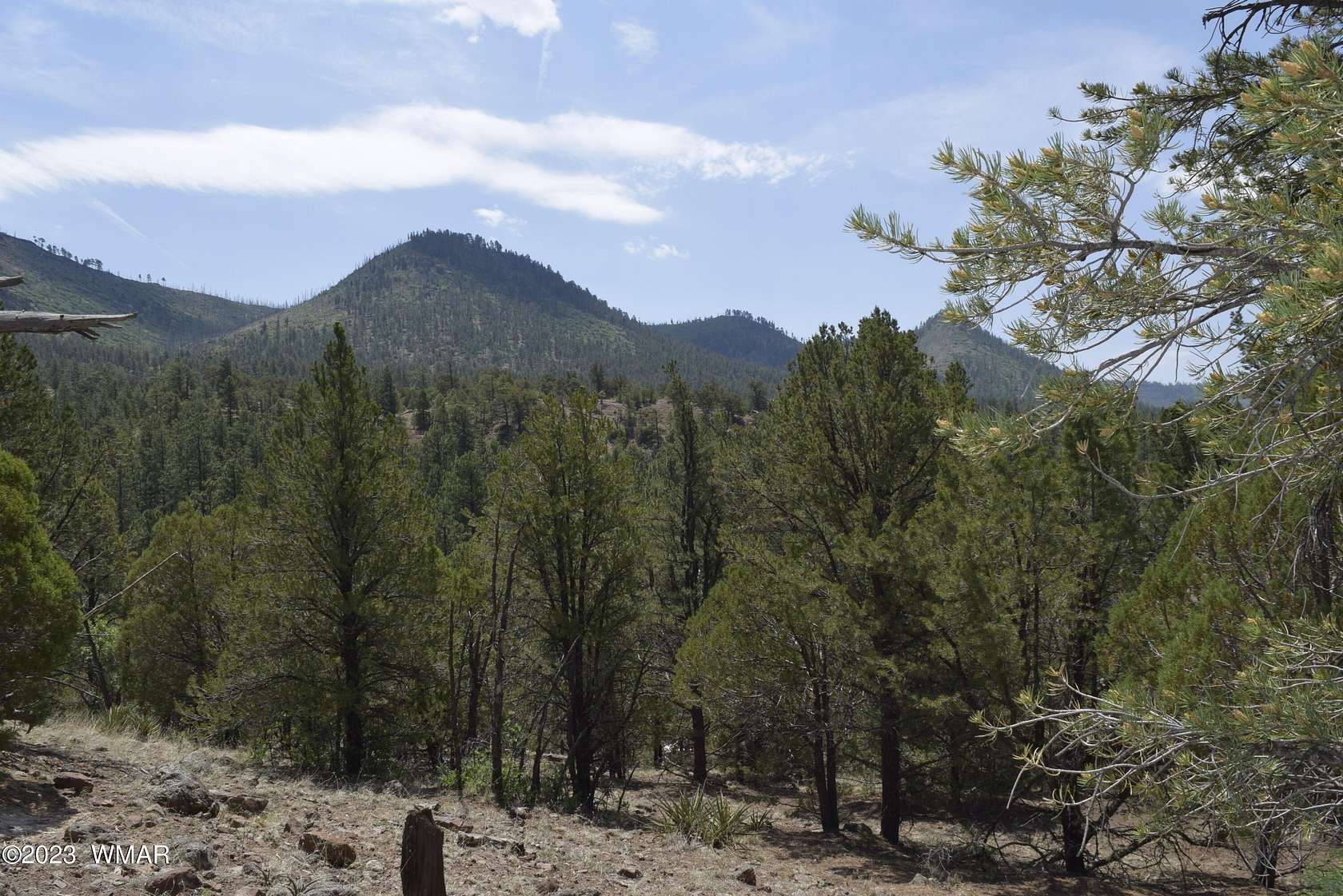 5 Acres of Residential Land for Sale in Nutrioso, Arizona