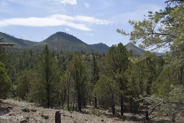 5 Acres of Residential Land for Sale in Nutrioso, Arizona