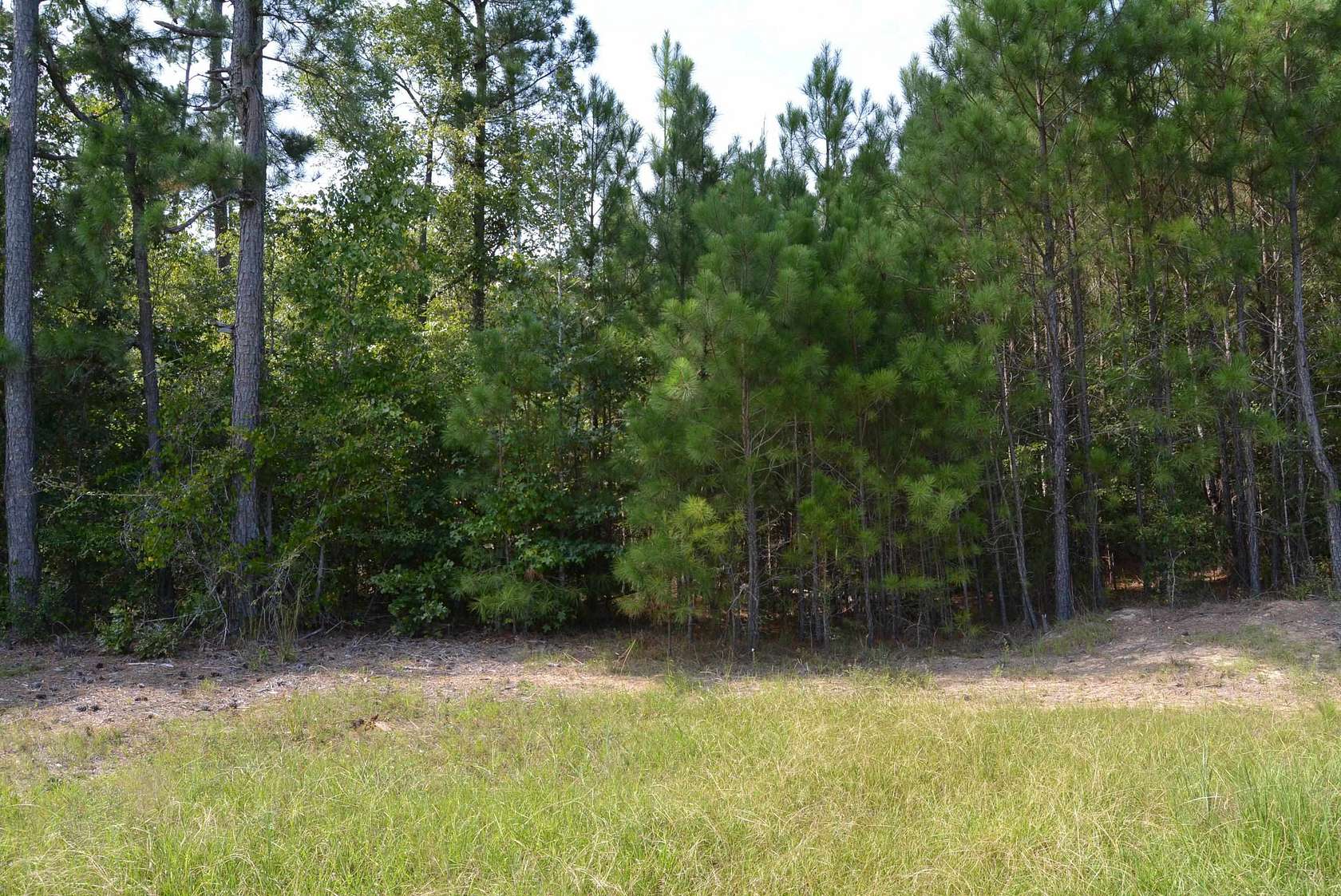 1.5 Acres of Residential Land for Sale in Sanford, North Carolina