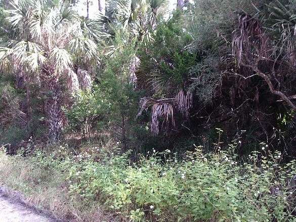 0.34 Acres of Residential Land for Sale in Panacea, Florida