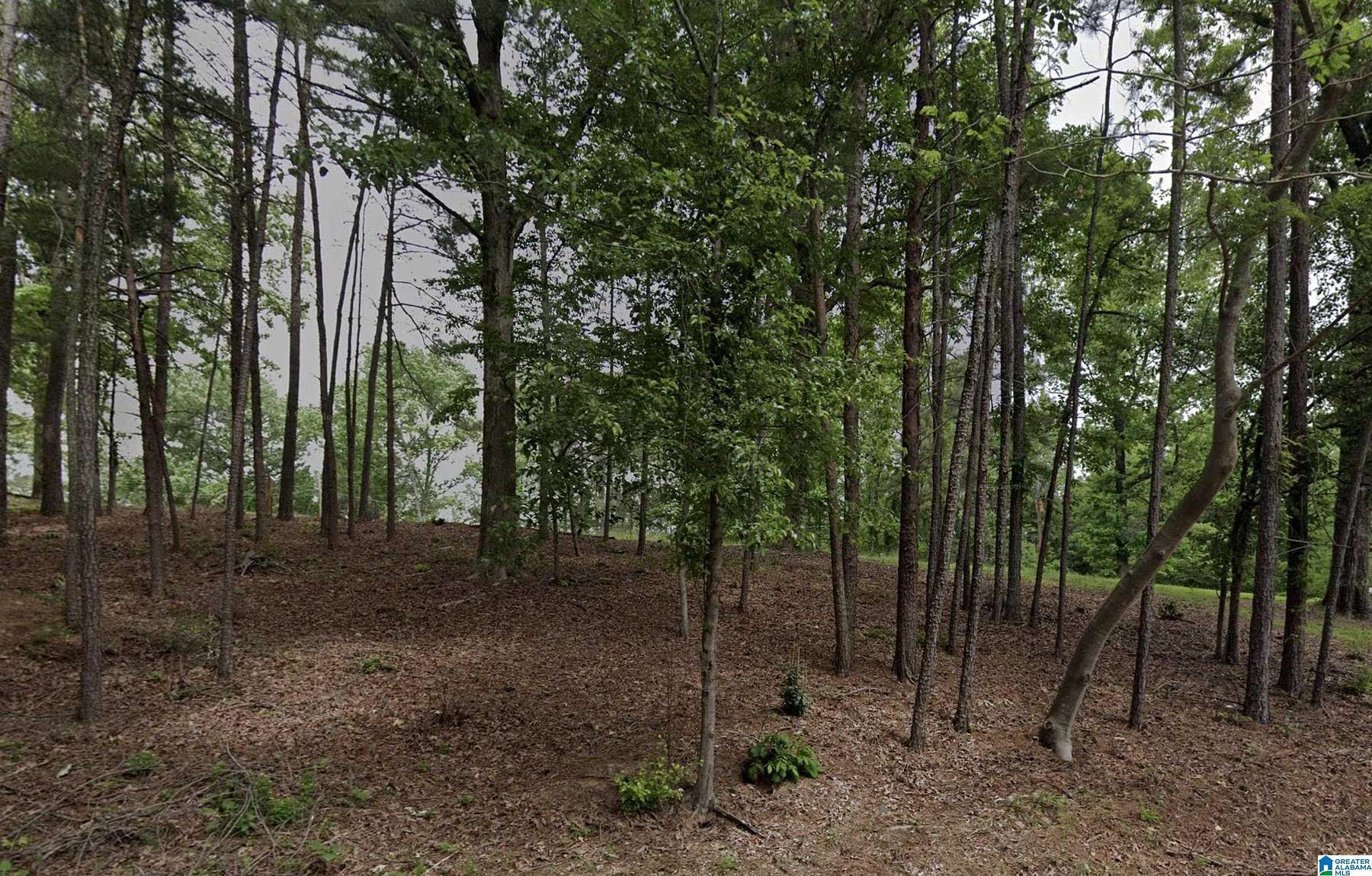 7.8 Acres of Land for Sale in Bessemer, Alabama