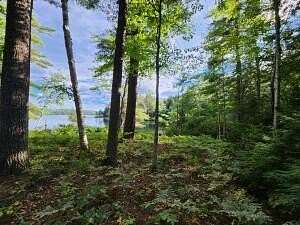 2.03 Acres of Land for Sale in Liberty, Maine