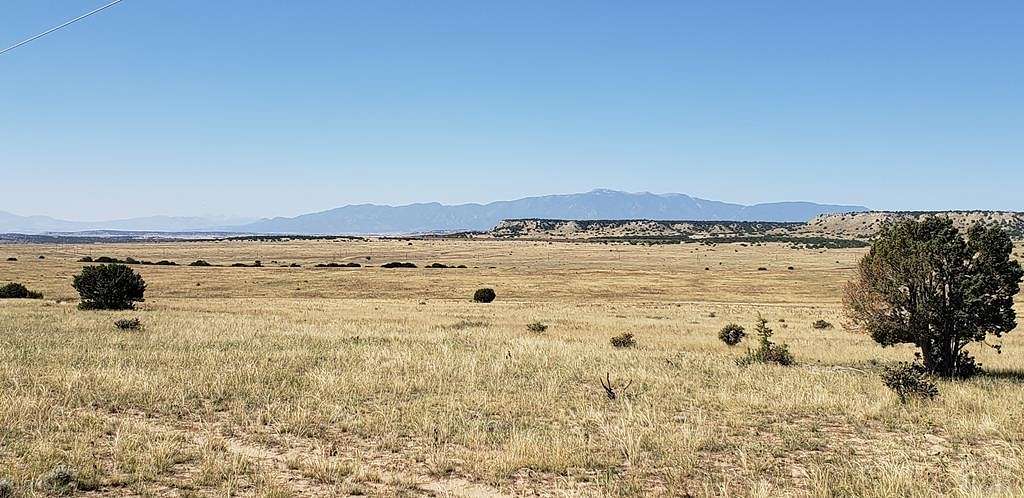 35 Acres of Land for Sale in Rye, Colorado