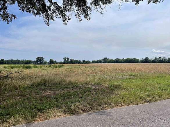 30 Acres of Recreational Land for Sale in Jay, Florida