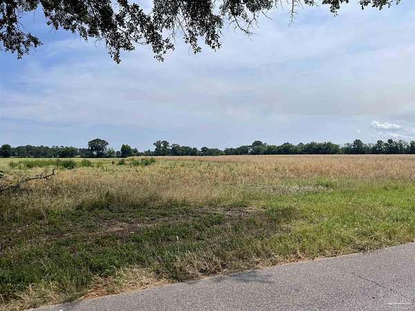 30 Acres of Land for Sale in Jay, Florida