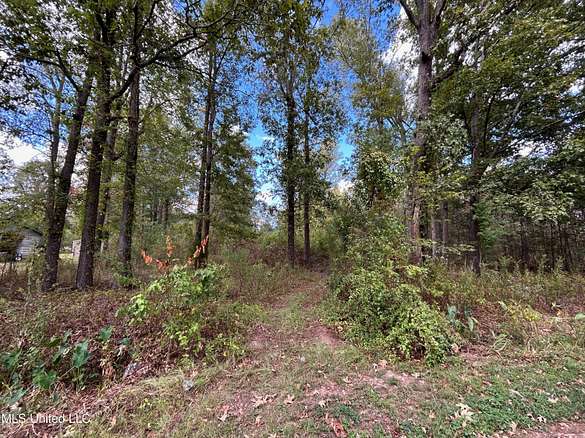 1 Acre of Residential Land for Sale in Florence, Mississippi