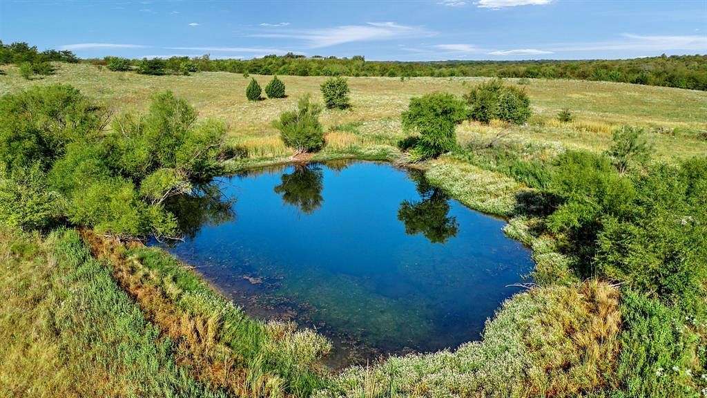 81.63 Acres of Recreational Land for Sale in Sherman, Texas