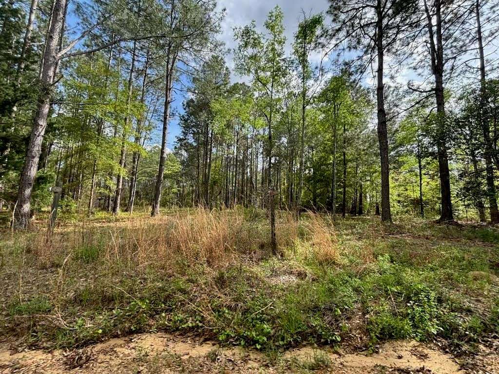 4.5 Acres of Residential Land for Sale in Douglas, Georgia