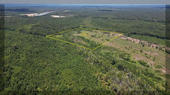 44 Acres of Recreational Land for Sale in Jackson, Alabama