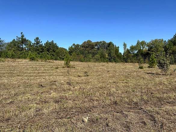 50 Acres of Agricultural Land for Sale in Gadsden, Tennessee